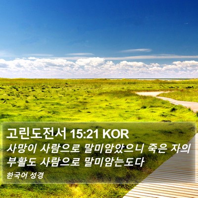 고린도전서 15:21 KOR Bible Verse Image