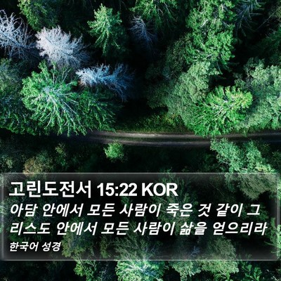고린도전서 15:22 KOR Bible Verse Image