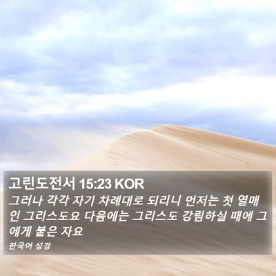 고린도전서 15:23 KOR Bible Verse Image