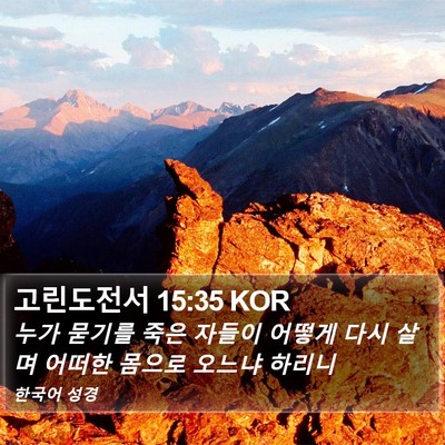 고린도전서 15:35 KOR Bible Verse Image
