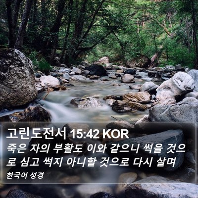 고린도전서 15:42 KOR Bible Verse Image