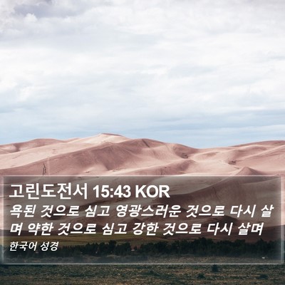 고린도전서 15:43 KOR Bible Verse Image