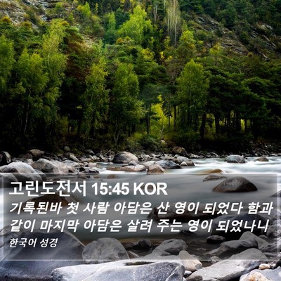 고린도전서 15:45 KOR Bible Verse Image