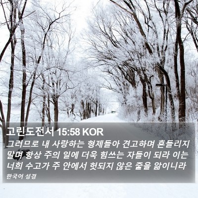 고린도전서 15:58 KOR Bible Verse Image