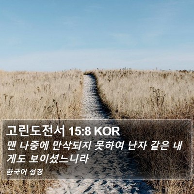 고린도전서 15:8 KOR Bible Verse Image