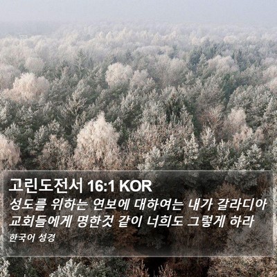 고린도전서 16:1 KOR Bible Verse Image
