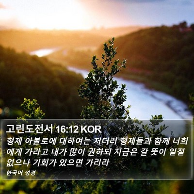 고린도전서 16:12 KOR Bible Verse Image