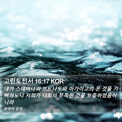고린도전서 16:17 KOR Bible Verse Image