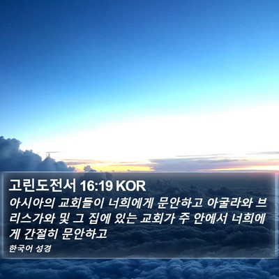 고린도전서 16:19 KOR Bible Verse Image
