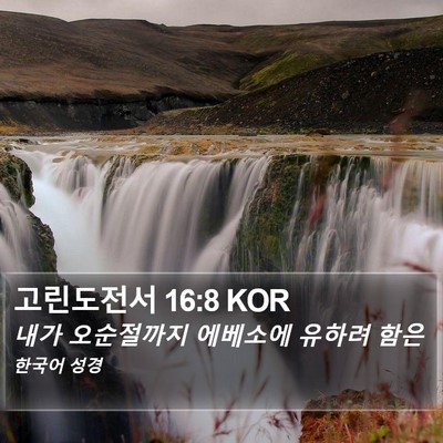 고린도전서 16:8 KOR Bible Verse Image