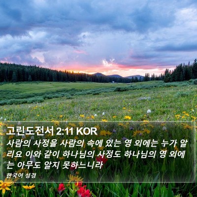 고린도전서 2:11 KOR Bible Verse Image