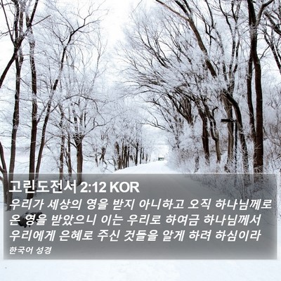 고린도전서 2:12 KOR Bible Verse Image