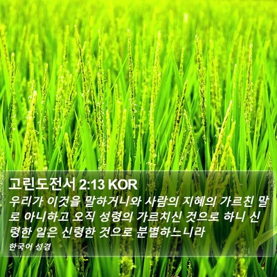 고린도전서 2:13 KOR Bible Verse Image