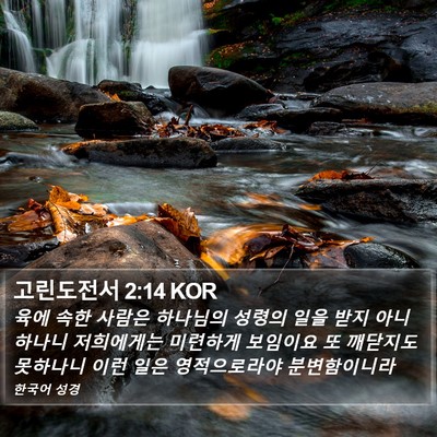 고린도전서 2:14 KOR Bible Verse Image