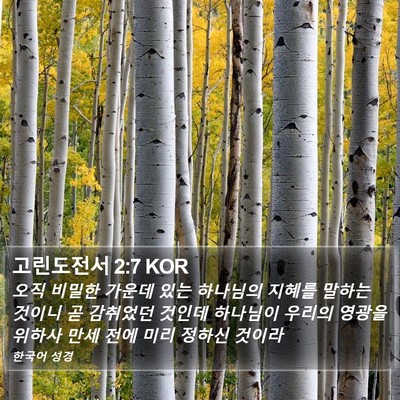 고린도전서 2:7 KOR Bible Verse Image