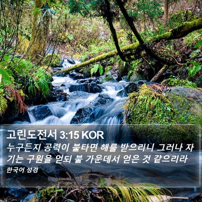 고린도전서 3:15 KOR Bible Verse Image