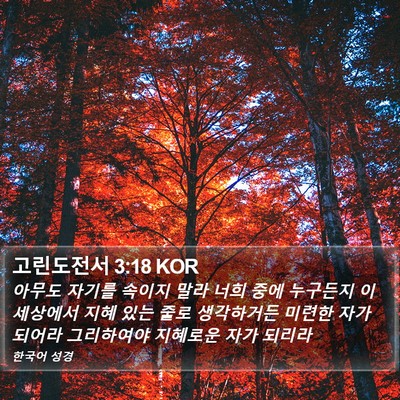 고린도전서 3:18 KOR Bible Verse Image