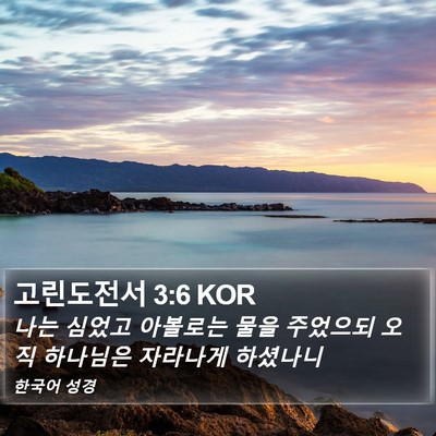 고린도전서 3:6 KOR Bible Verse Image