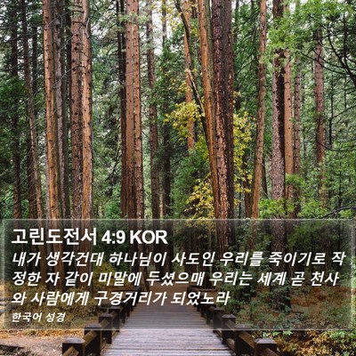 고린도전서 4:9 KOR Bible Verse Image