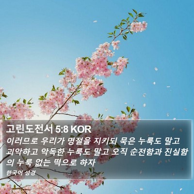 고린도전서 5:8 KOR Bible Verse Image