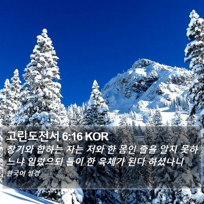 고린도전서 6:16 KOR Bible Verse Image