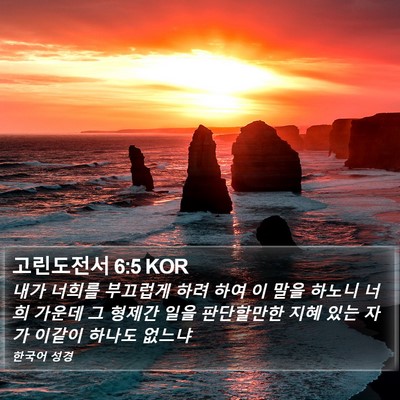 고린도전서 6:5 KOR Bible Verse Image