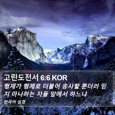 고린도전서 6:6 KOR Bible Verse Image