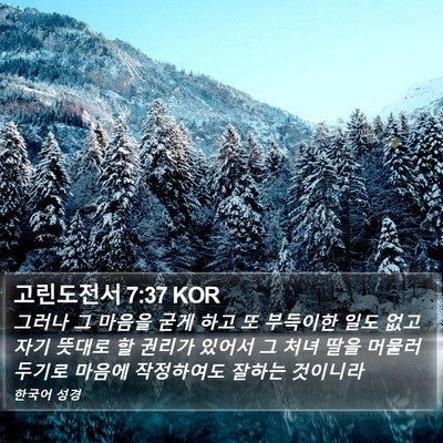 고린도전서 7:37 KOR Bible Verse Image