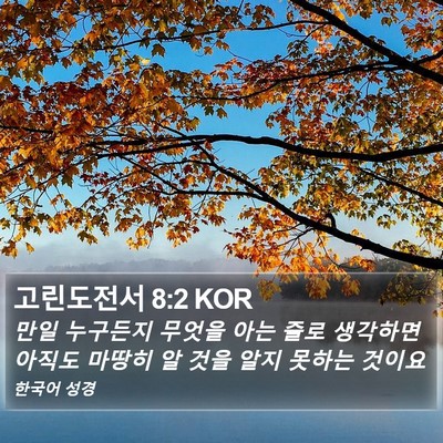고린도전서 8:2 KOR Bible Verse Image
