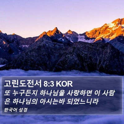고린도전서 8:3 KOR Bible Verse Image