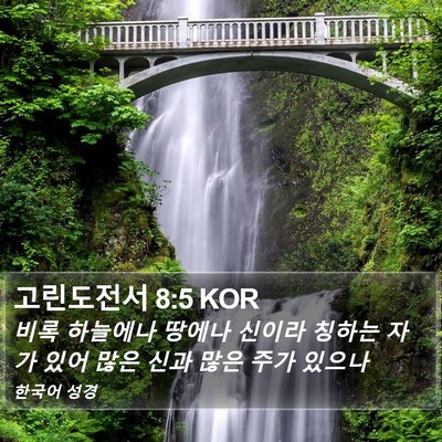 고린도전서 8:5 KOR Bible Verse Image