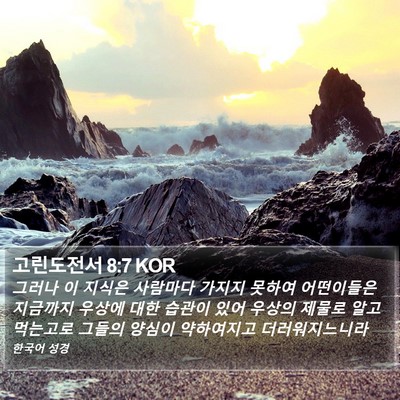 고린도전서 8:7 KOR Bible Verse Image