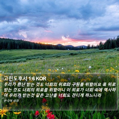 고린도후서 1:6 KOR Bible Verse Image