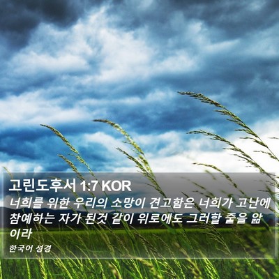 고린도후서 1:7 KOR Bible Verse Image