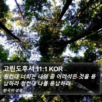 고린도후서 11:1 KOR Bible Verse Image