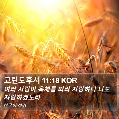 고린도후서 11:18 KOR Bible Verse Image