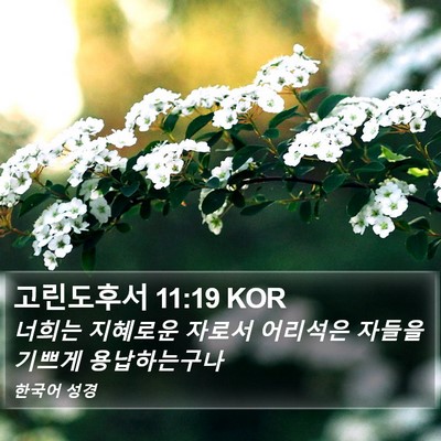 고린도후서 11:19 KOR Bible Verse Image