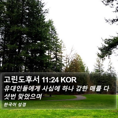 고린도후서 11:24 KOR Bible Verse Image