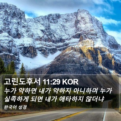 고린도후서 11:29 KOR Bible Verse Image