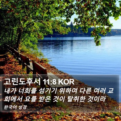 고린도후서 11:8 KOR Bible Verse Image