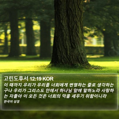 고린도후서 12:19 KOR Bible Verse Image