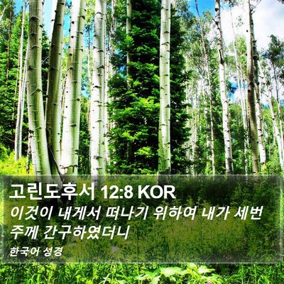고린도후서 12:8 KOR Bible Verse Image