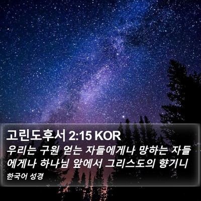 고린도후서 2:15 KOR Bible Verse Image