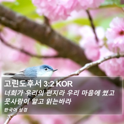 고린도후서 3:2 KOR Bible Verse Image