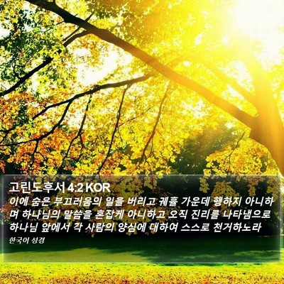 고린도후서 4:2 KOR Bible Verse Image