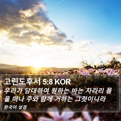 고린도후서 5:8 KOR Bible Verse Image