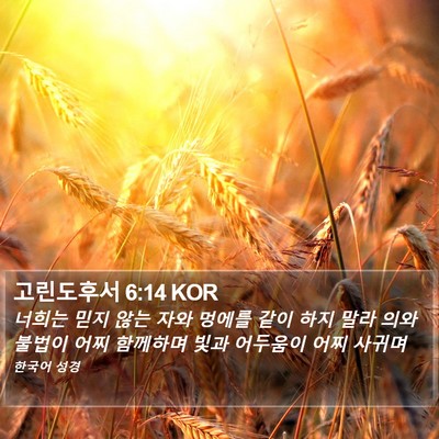 고린도후서 6:14 KOR Bible Verse Image