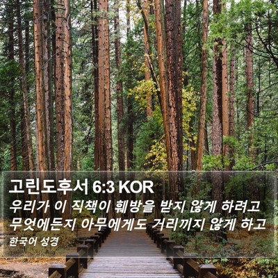 고린도후서 6:3 KOR Bible Verse Image