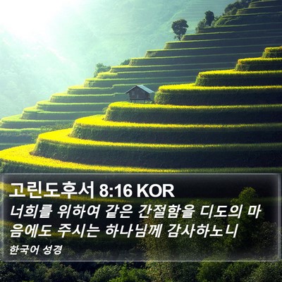 고린도후서 8:16 KOR Bible Verse Image