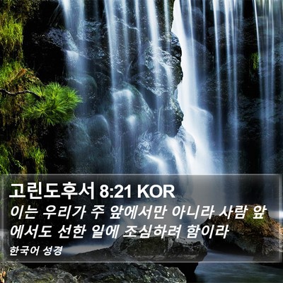 고린도후서 8:21 KOR Bible Verse Image